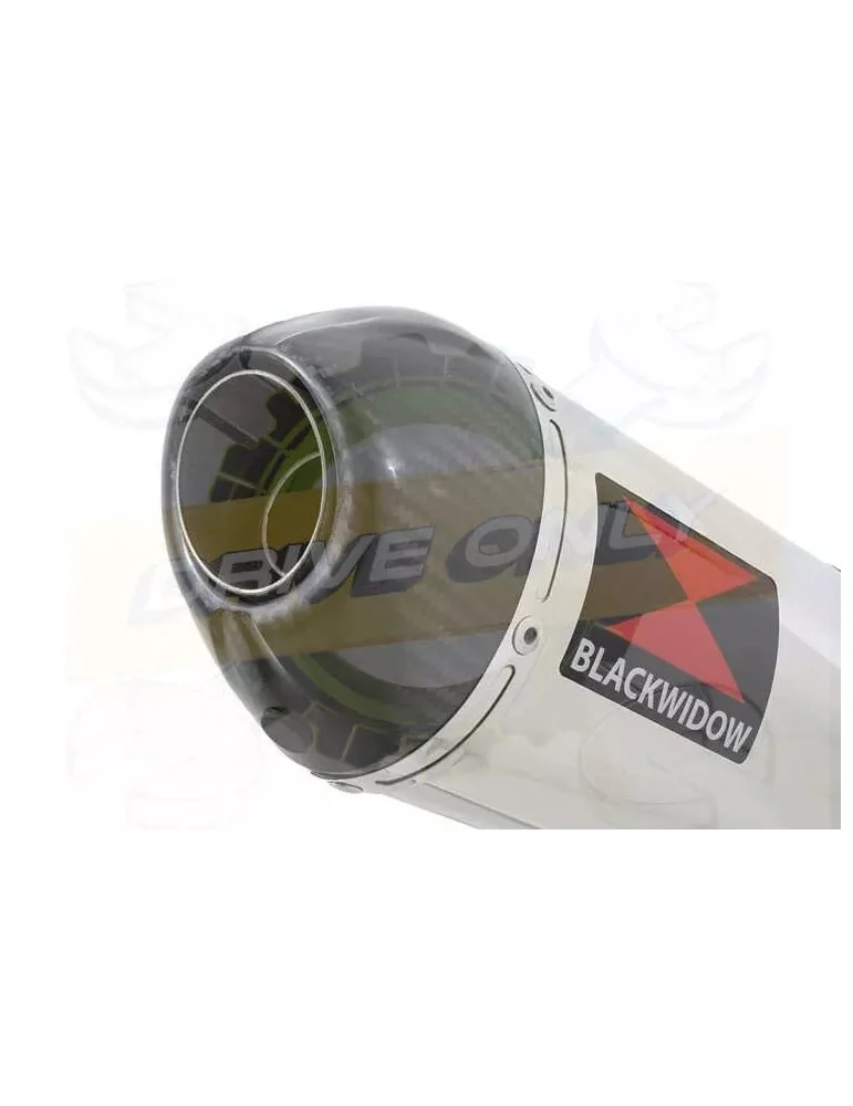 XT125R XT125X Tube de raccord & Silencieux Ovale En Inox & Canule En Carbone 400mm