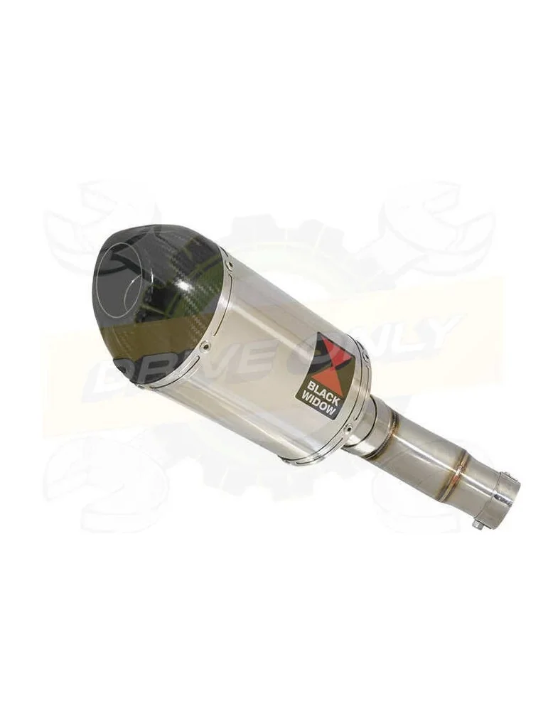 Kawasaki ER-6N ER-6F ER650 2005-2011 Passage Bas Tube de raccord et Silencieux Ovale En Inox + Carbone 200mm