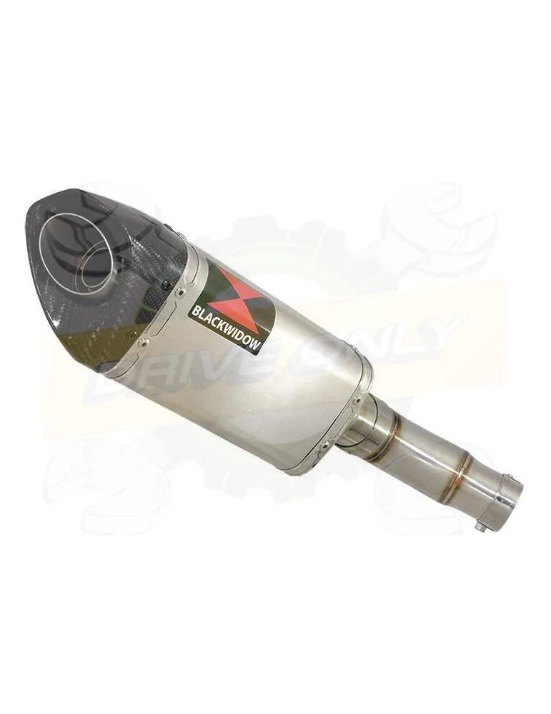 ER-6N ER-6F ER650 05-11 Passage Bas Tube de raccord & Silencieux Tri Ovale en Inox + Carbone 250mm