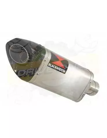 ER-6N ER-6F ER650 2005-11 hi level Tube de raccord + Silencieux Tri Ovale en Inox + Carbone 250mm