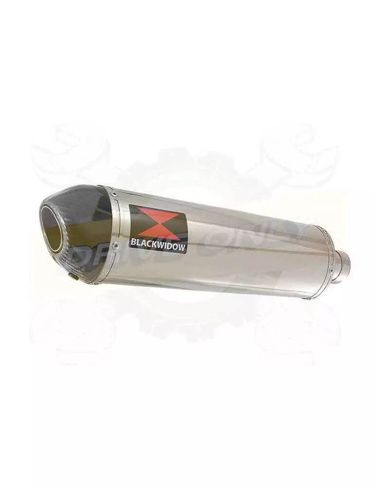 HONDA NT650 NT 650 DEAUVILLE Ligne complète & Silencieux Ovale En Inox + Carbone Tip 400mm
