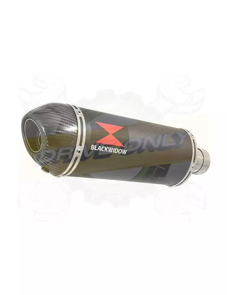 HONDA NT650 NT 650 DEAUVILLE Ligne complète & Silencieux Ovale Noir En Inox + Carbone Tip 300mm