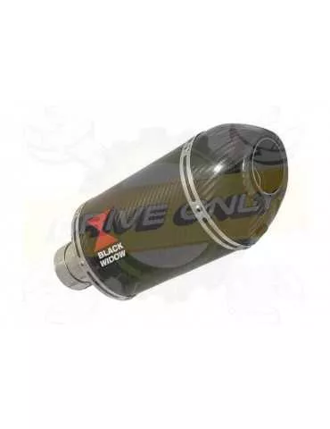 R850R ROADSTER tube de raccord et Ovale En Carbone Silencieux + carbon 200mm