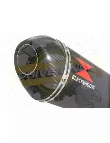 XJ6 Diversion F & N 2009-2015 Passage Bas Décatalyseur Ligne complète & Silencieux Ovale Noir En Inox + Canule En Carbone 300mm