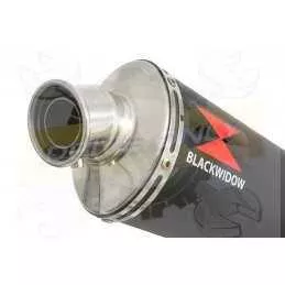 XJ6 Diversion F & N 2009-2015 Passage Bas Décatalyseur Ligne complète & Silencieux Ovale Noir En Inox 300mm