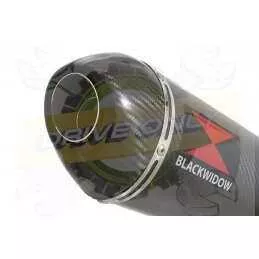 XJ6 Diversion F & N 2009-2015 Passage Haut Décatalyseur Ligne complète & Silencieux Ovale En Carbone 400mm