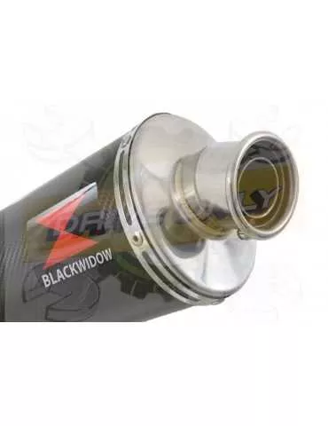 WR 125 R/X 2009/2018 Tube de raccord et Silencieux Ovale En Carbone 300mm