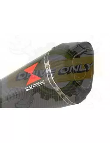 WR 125 R/X 2009/2018 Tube de raccord et Silencieux Hexagonale En Carbone 300mm
