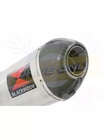 WR 125 R/X 2009/2018 Décatalyseur Ligne complète & Silencieux Ovale En Inox + Canule en Carbone 300mm