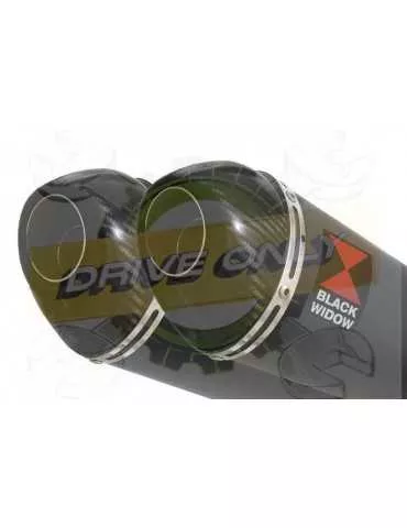 XT 660 XT660X XT660R 2004-2016 Kit Silencieux Ovale Noir En Inox + Canule en Carbone 200mm