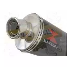 Vespa GTV 250 ie 60 2007 Ligne complète & Silencieux Ovale En Carbone 400mm