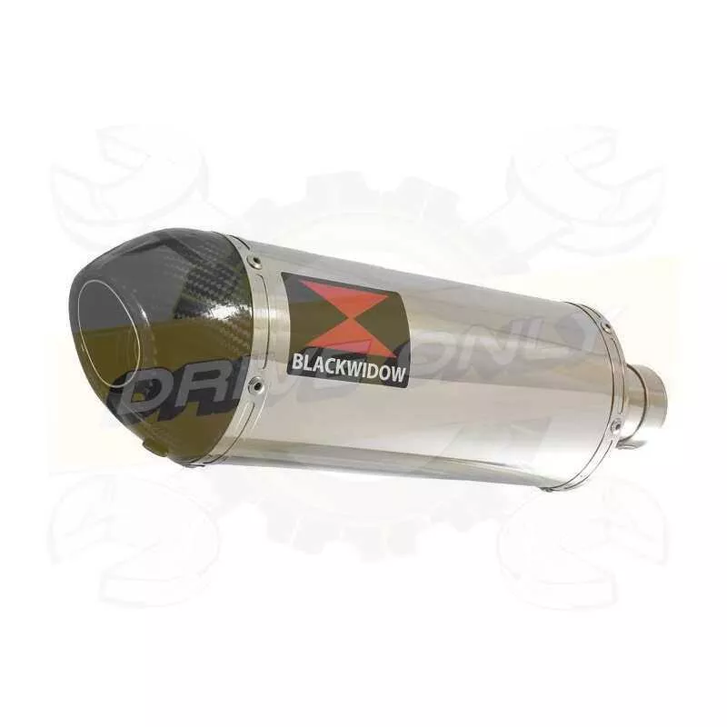 Vespa GTV 250 ie 60 2007 Ligne complète & Silencieux Ovale En Inox + Canule En Carbone 300mm