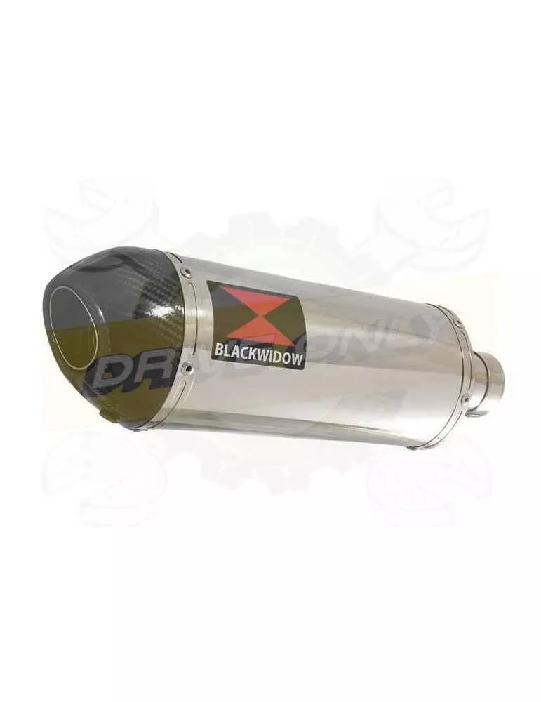 Vespa GTV 300 4T 4V ie 2009 - 2013 Ligne complète & Silencieux Ovale En Inox + Canule En Carbone 300mm