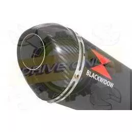 Vespa LX 150 IE (3V) Ligne complète & Silencieux Ovale Noir En Inox + Canule En Carbone 300mm