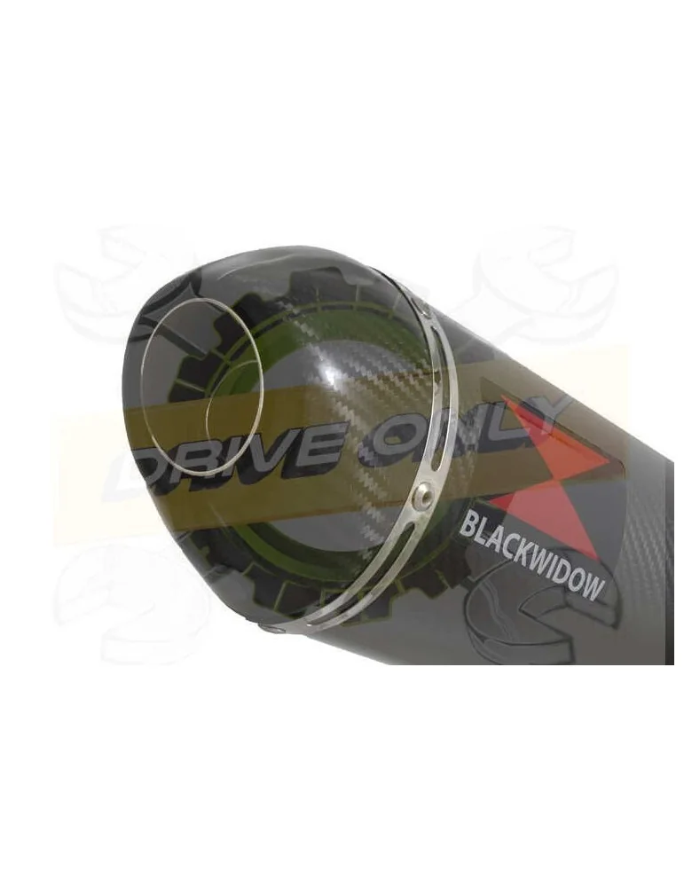 ZX10R ZX10-R E8F E9F E10F 08 09 10 Tube de raccord & Silencieux Ovale En Carbone 300mm