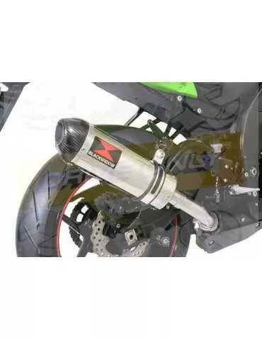ZX10R ZX10-R E8F E9F E10F 08 09 10 Tube de raccord & Silencieux Ovale En Inox + Canule En Carbone 300mm