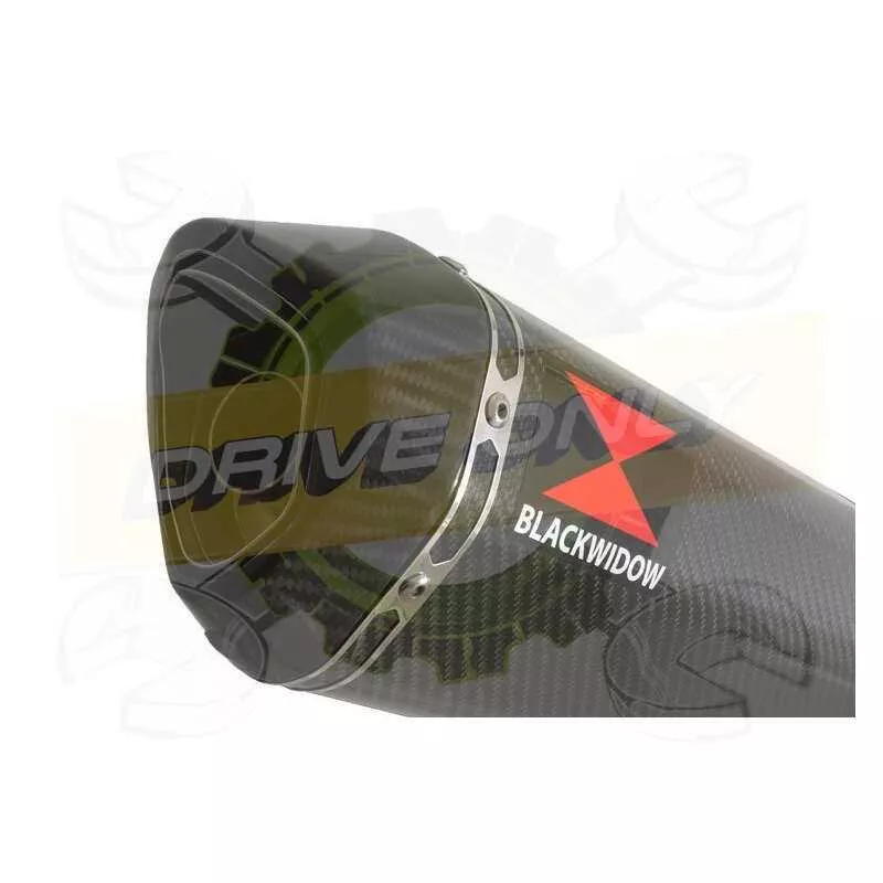 ZX10R ZX10-R E8F E9F E10F 08 09 10 Tube de raccord & Silencieux Hexagonale En Carbone 300mm
