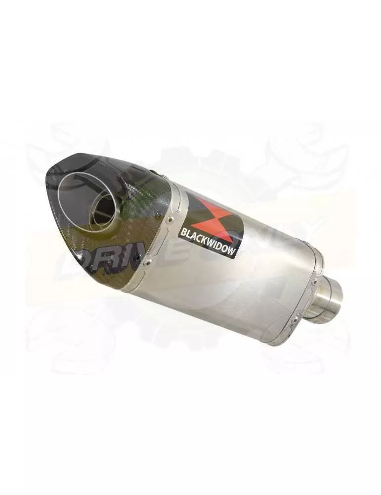 KTM RC 390 2011-2016 Silencieux Kit & Silencieux Tri Ovale en Inox + Canule En Carbone 250mm