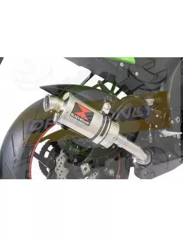 ZX10R ZX10-R E8F E9F E10F 08 09 10 Tube de raccord & Silencieux Rond GP Style En Inox 230mm