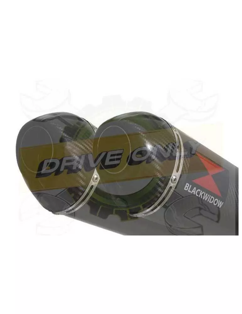 Twin 300mm Oval Carbon Fibre Slip On Silencers with Carbon Fibre Tips