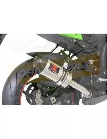 ZX10R ZX10-R E8F E9F E10F 08 09 10 Tube de raccord & Silencieux Ovale En Inox + Canule en Carbone 200mm