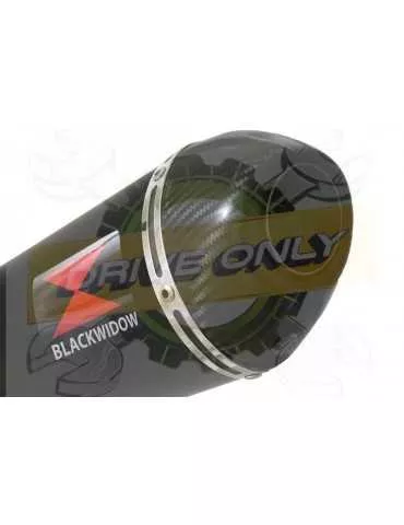 WR 125 R/X 2009/2018 Décatalyseur Ligne complète & Silencieux Ovale Noir En Inox + Canule En Carbone 300mm