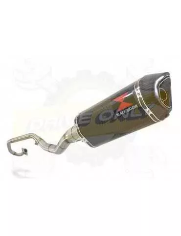 WR 125 R/X 2009/2018 Décatalyseur Ligne complète & Silencieux Hexagonale En Carbone 300mm