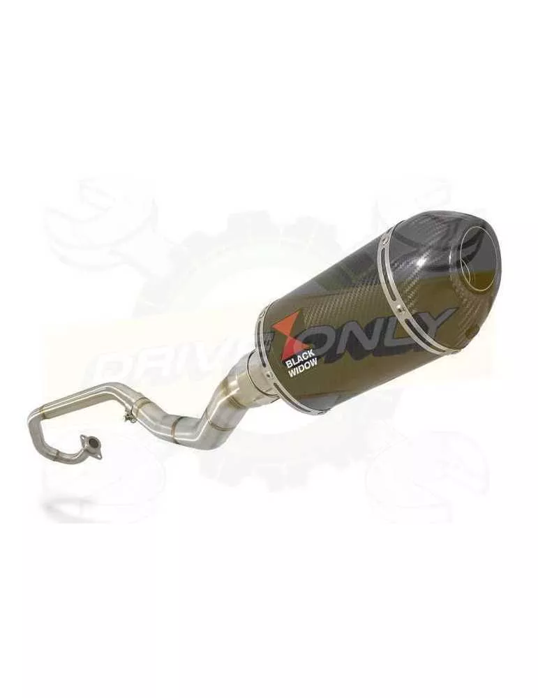 WR 125 R/X 2009/2018 Décatalyseur Ligne complètes & Ovale En Carbone Silencieux + Carbon Tip 200mm