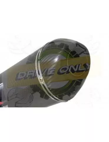 WR 125 R/X 2009/2018 Décatalyseur Ligne complètes & Ovale En Carbone Silencieux + Carbon Tip 200mm