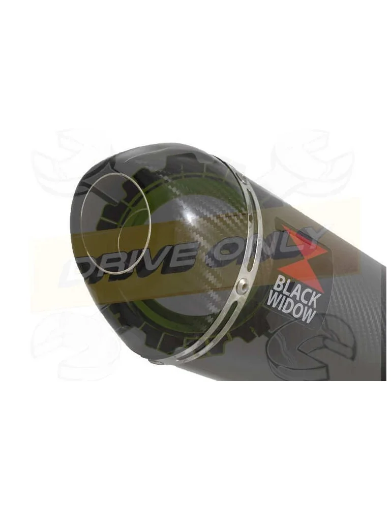 ZX10R ZX10-R E8F E9F E10F 08 09 10 Tube de raccord & Silencieux Ovale En Carbone 200mm