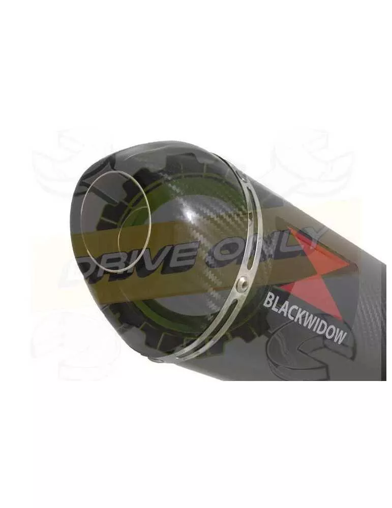 ZX10R ZX10-R E8F E9F E10F 08 09 10 Decata / Tube de raccord & Silencieux Ovale En Carbone 400mm