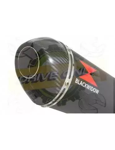 ZX10R ZX10-R E8F E9F E10F 08 09 10 Decata / Tube de raccord & Silencieux Ovale Noir en Inox + Canule en Carbone 400mm