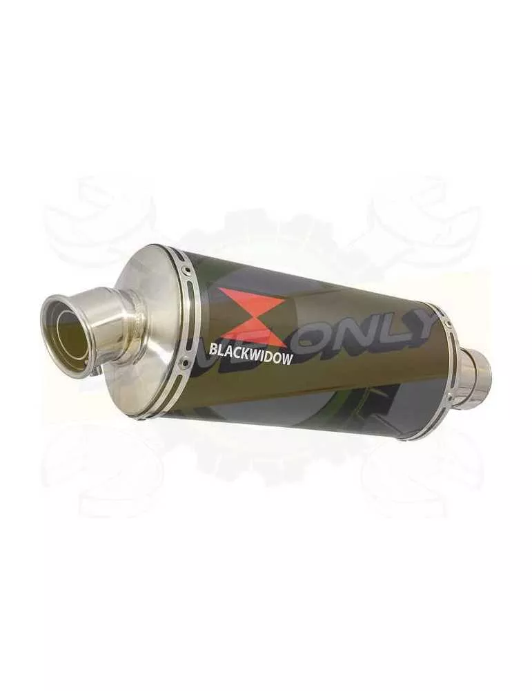 Vespa GTV 300 4T 4V ie 2009 - 2013 Ligne complète & Silencieux Ovale Noir En Inox 300mm