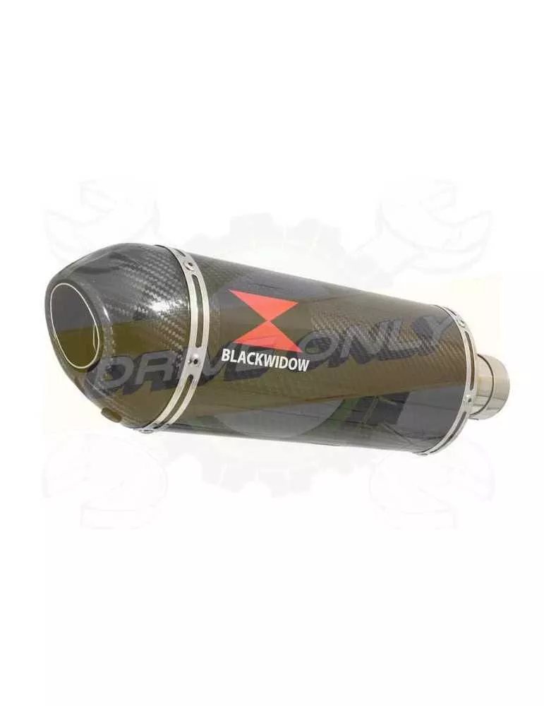 Vespa GTV 300 4T 4V ie 2009 - 2013 Ligne complète & Silencieux Ovale En Carbone 300mm