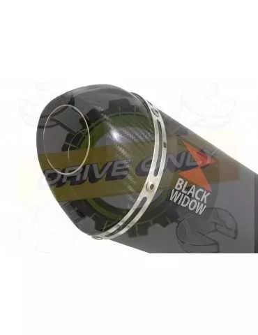 KTM RC 200 2011-2016 Decata Silencieux Kit & Silencieux Ovale Noir En Inox + Canule en Carbone 200mm