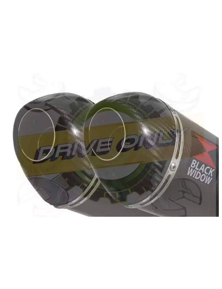 Twin 200mm Oval Carbon Fibre Slip On Silencers with Carbon Fibre Tips