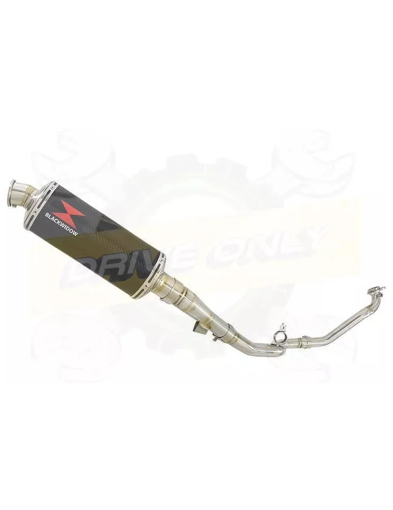 Collecteur + Décatalyseur + Silencieux Race Carbone 300mm