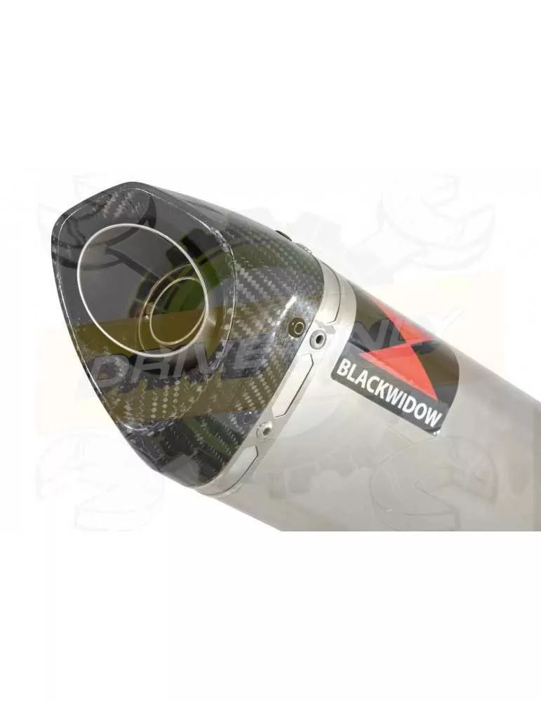 R6 YZF600 2006-2018 Passage Haut Décatalyseur Ligne complète & Silencieux Tri Ovale en Inox + Canule en Carbone 250mm