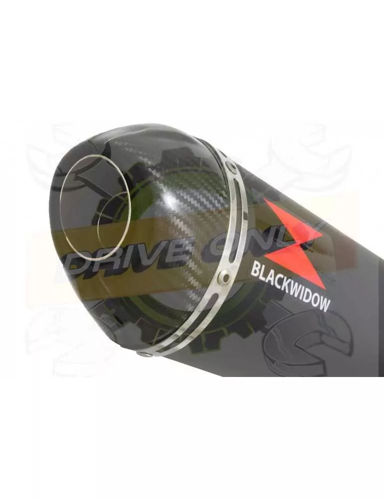 R6 YZF600 2006-2018 Passage Haut Décatalyseur Ligne complète & Silencieux Ovale Noir en Inox + Canule en Carbone 300mm