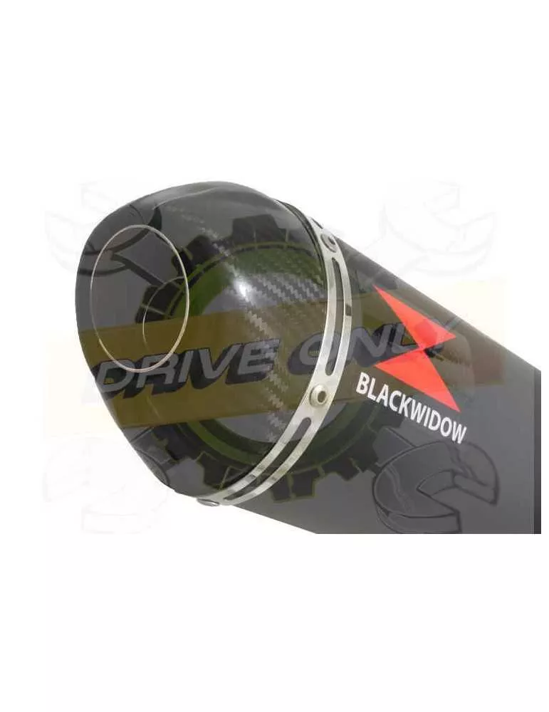 XJR1300 XJR 1300 SP 1998 - 2006 4-1 Ligne complète & Silencieux Ovale Noir En Inox + Canule En Carbone 400mm