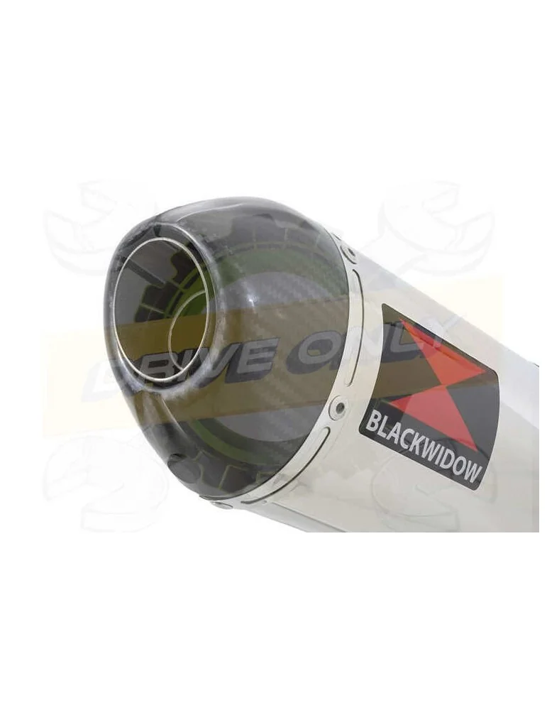 XJR1300 XJR 1300 SP 1998 - 2006 4-1 Ligne complète & Silencieux Ovale En Inox + Canule En Carbone 400mm