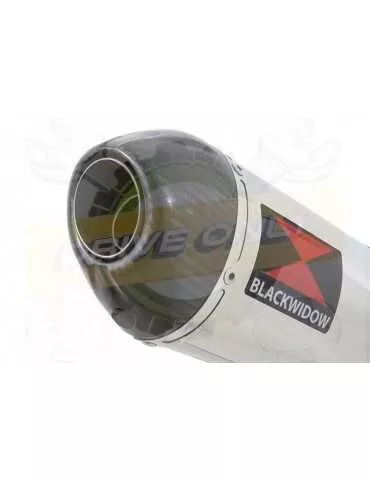 XJR1300 XJR 1300 SP 1998 - 2006 4-1 Ligne complète & Silencieux Ovale En Inox + Canule En Carbone 300mm