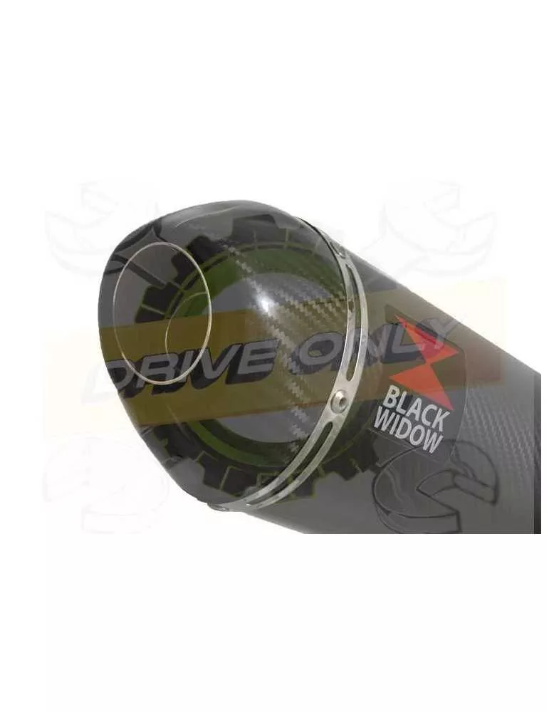 XJR1300 XJR 1300 SP 1998 - 2006 4-1 Ligne complète & Silencieux Ovale En Carbone 200mm