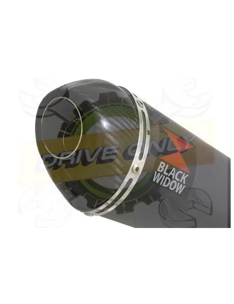 XJR1300 XJR 1300 SP 1998 - 2006 4-1 Ligne complète & Silencieux Ovale Noir En Inox + Canule En Carbone 200mm