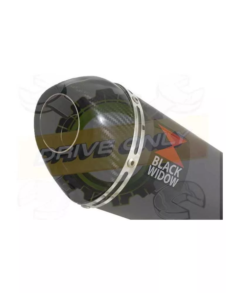 XJR1300 XJR 1300 SP 1998 - 2006 4-1 Ligne complète & Silencieux Ovale Noir En Inox + Canule En Carbone 200mm