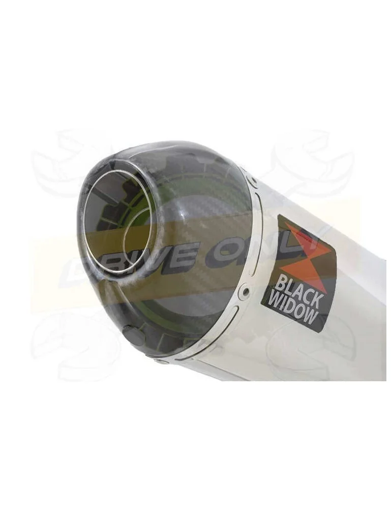 XJR1300 XJR 1300 SP 1998 - 2006 4-1 Ligne complète & Silencieux Ovale En Inox + Canule En Carbone 200mm