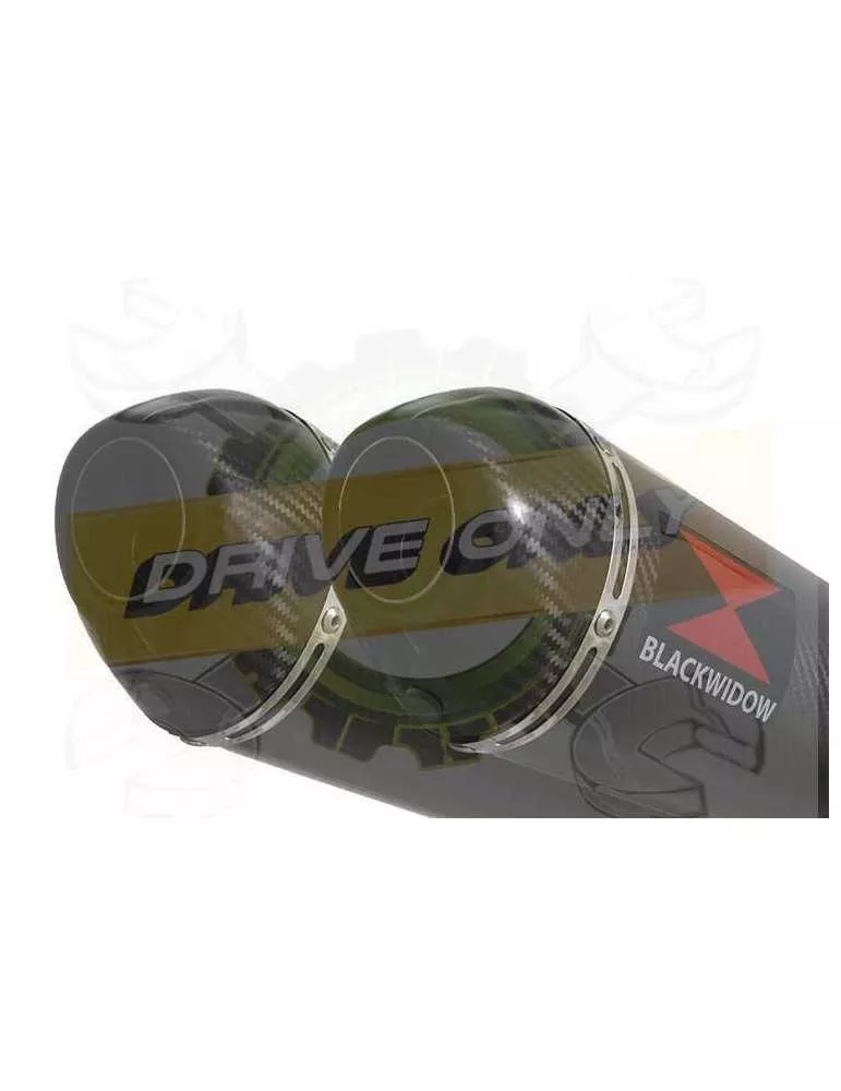 XJR1300 XJR 1300 1998 - 2006 4-2 Silencieux Kit & Silencieux Ovale En Carbone 300mm