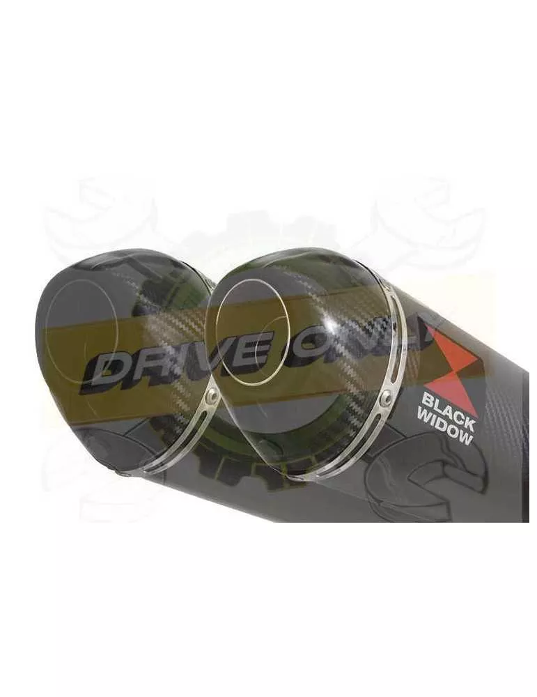XJR1300 XJR 1300 1998 - 2006 4-2 Silencieux Kit & Silencieux Ovale En Carbone 200mm