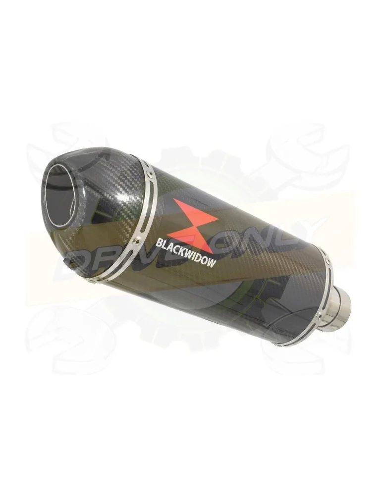 R6 2006-2016 Hi level Silencieux kit & Ovale En Carbone + Carbon Tip Silencieux 300mm
