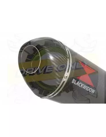 R6 2006-2016 Hi level Silencieux kit & Ovale En Carbone + Carbon Tip Silencieux 300mm